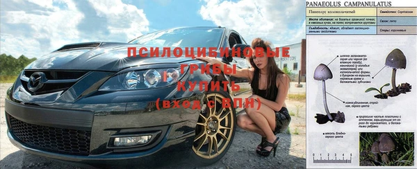 мдпв Нефтегорск