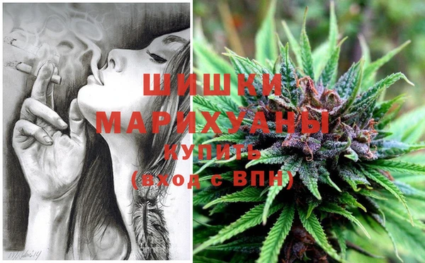 прущая мука Нея