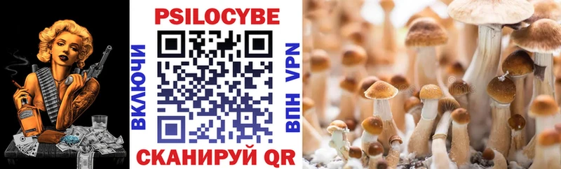 Псилоцибиновые грибы Psilocybine cubensis  Купить  Чадан 